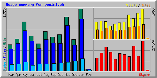 Usage summary for genini.ch